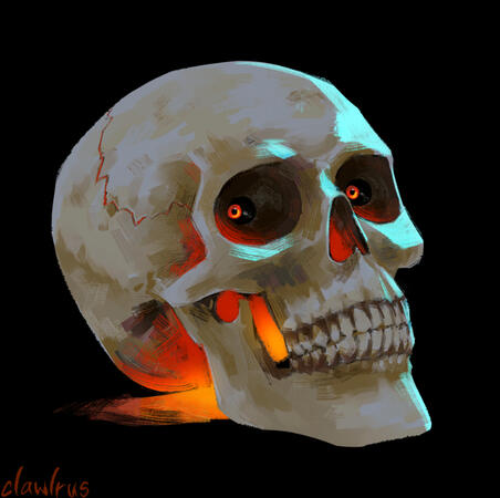 Skull