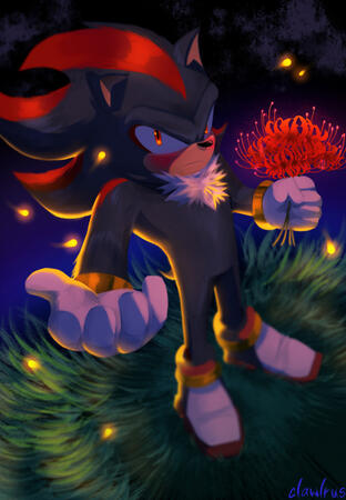Shadow The Hedgehog